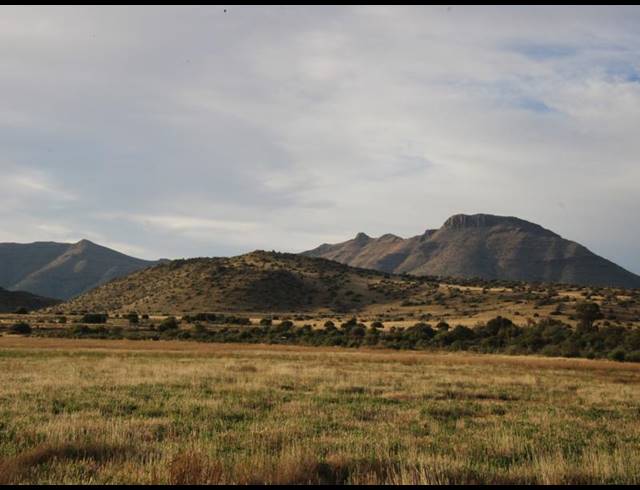 1,848HA FARM FOR SALE IN MIDDELBURG RURAL